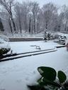 Backyard Winter View