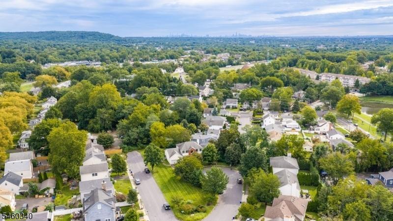 drone view
