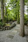 Back yard Trails