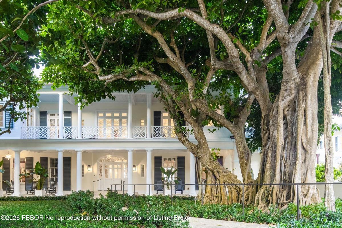 Front entrance Banyan