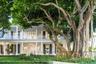 Front entrance Banyan