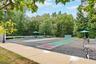 Shuffleboard
