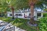 Backyard with gorgeous palm trees