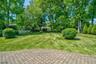 Large Flat Backyard