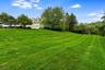 Expansive Yard