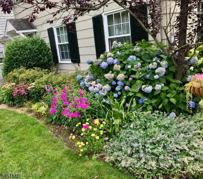 FABULOUS GLENWOOD COLONIAL