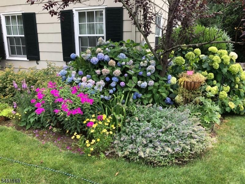 FABULOUS GLENWOOD COLONIAL