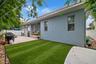 Turf and Generator
