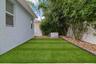 Turf and Generator