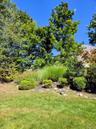 View of yard with perennial grasses on the hill