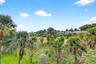 View of the preserve - out back.