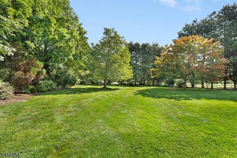 level backyard