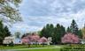 Spring time photo