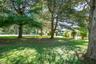 More yard