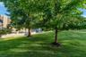 Backyard Green Space
