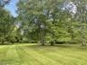 Park-Like Backyard