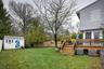 Back Yard and Shed