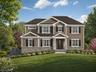 Front Rendering