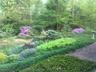 Rear gardens