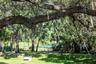 Back Yard Pond View