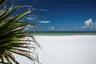 Honeymoon Island- Dunedin