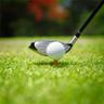 Love to Golf- Many courses in the area to choose from
