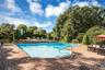 Heated pool with diving board.