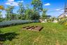 Rear yard