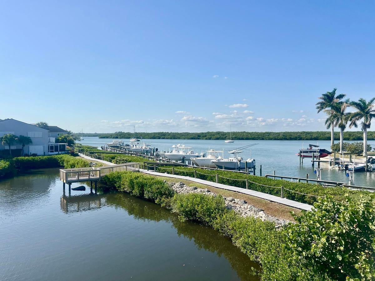 Waterfront setting with multiple boat slips, a wooden boardwalk, and established tropical landscaping