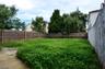 Backyard Actual