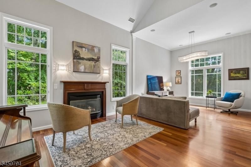Living/Family Rooms