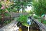 Backyard Pond