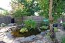 Backyard Pond