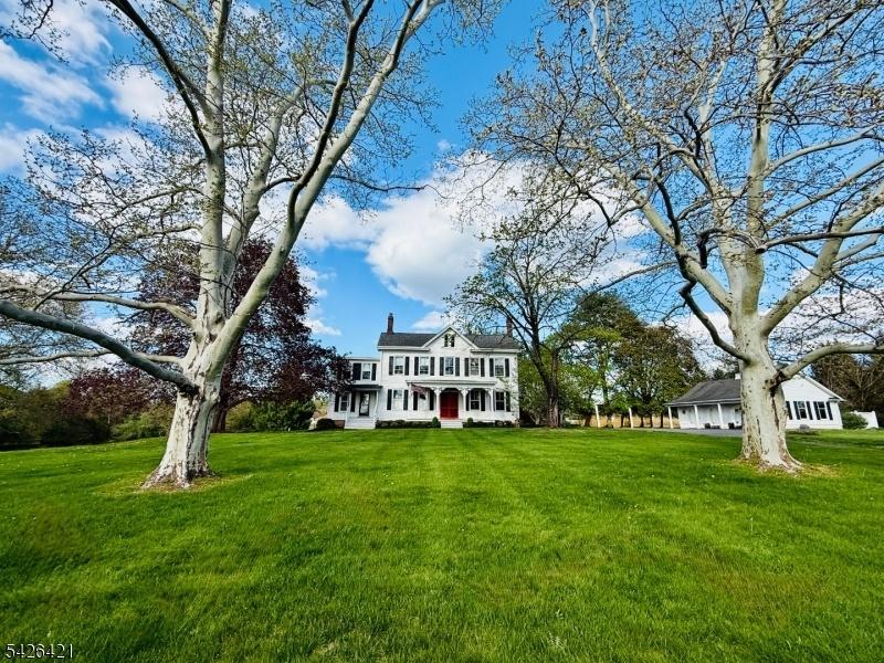 Front View Flanked by Trees