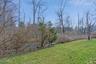 View from patio