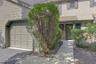 Front Walkway