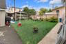 backyard behind the house