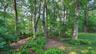 Backyard Gardens