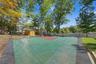 Backyard and Shed