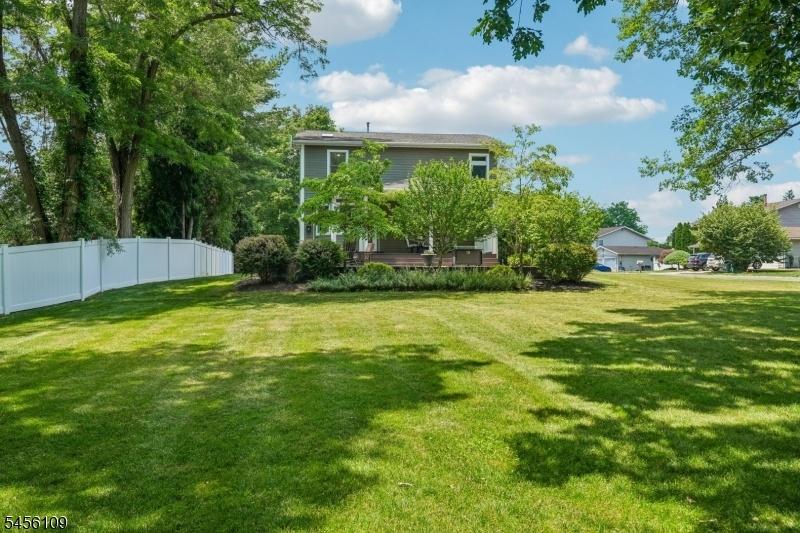 Side Yard