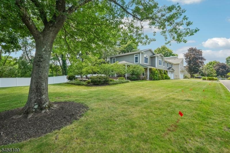 Huge Yard