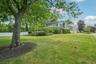 Huge Yard