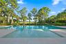 Infinity-edge pool with light-toned coping, surrounded by mature palm trees and lush landscaping