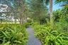 Landscaped pathway featuring a gravel surface, mature trees, and lush green foliage