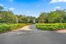 Paver driveway featuring a landscaped border of mature trees and shrubbery