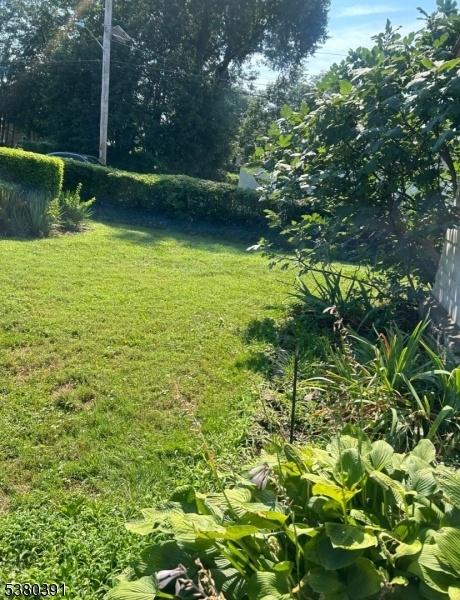 Lot view