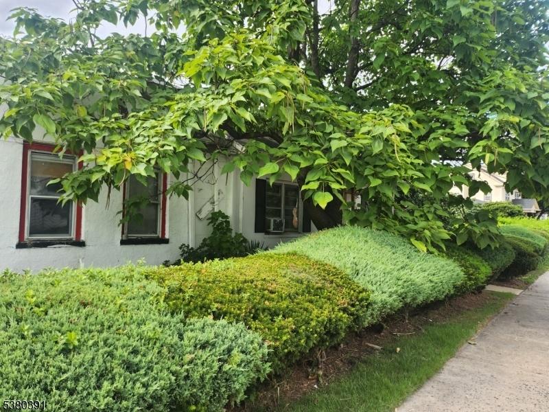 Front house view