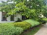 Front house view