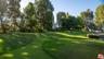 Pitch n Putt