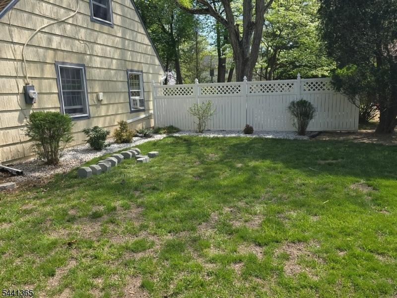 Back yard